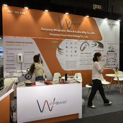 South Africa Expo 10